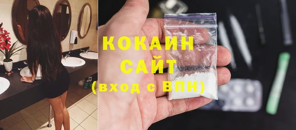 твердый Заводоуковск