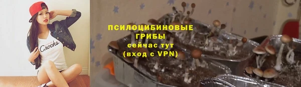 эйфоретик Заволжье