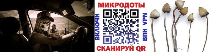 Псилоцибиновые грибы GOLDEN TEACHER  Инза 